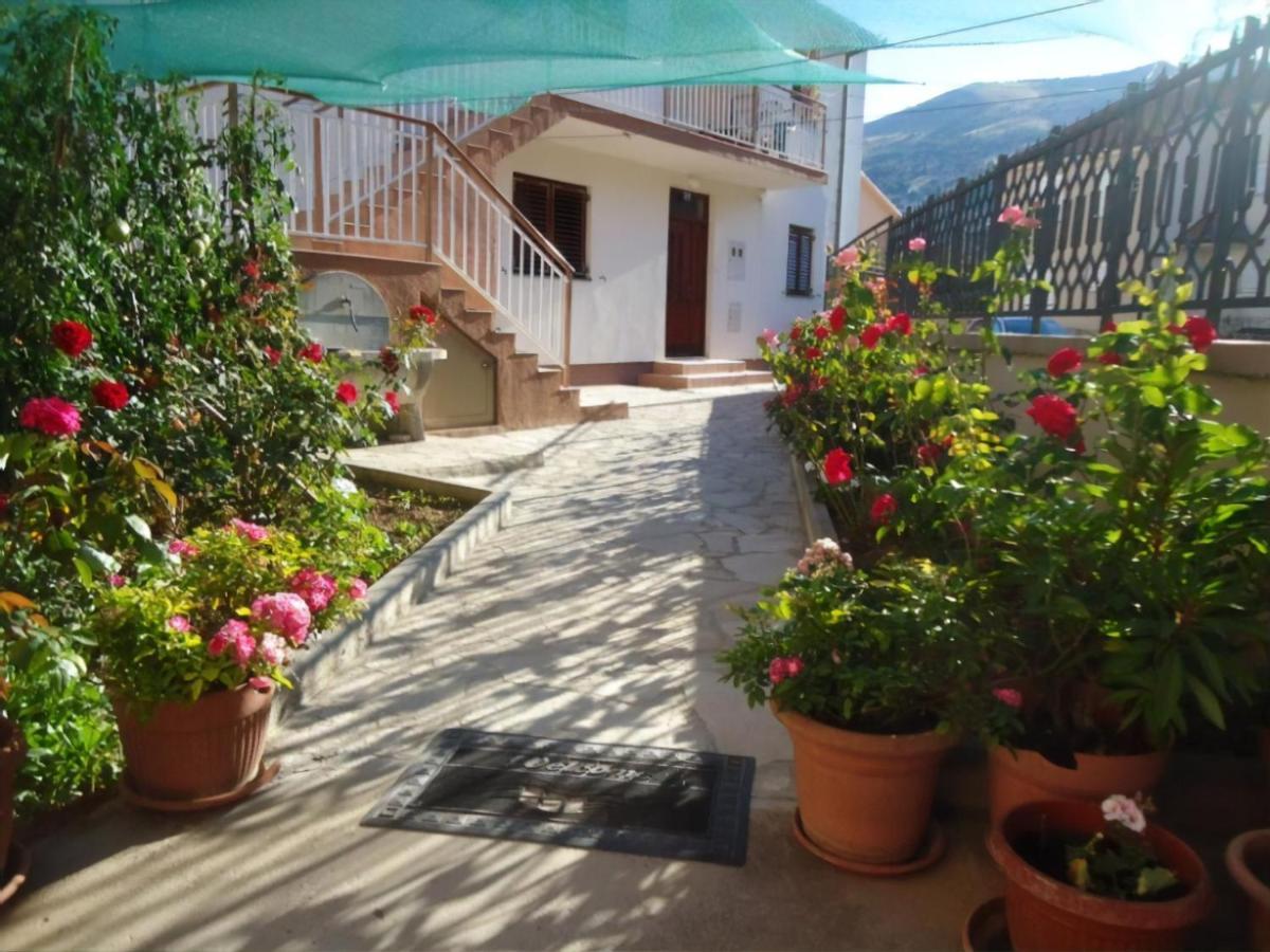 Cheap House Near The Center Of The City موستار المظهر الخارجي الصورة